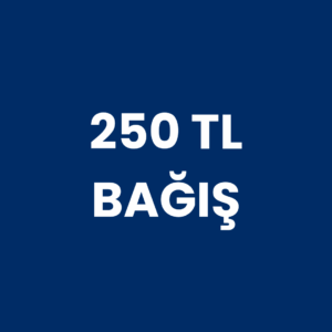 250 TL Bağış